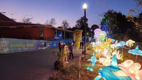 GloWild Lantern Festival at the - KC Zoo Glowild Aquarium 1 480x270