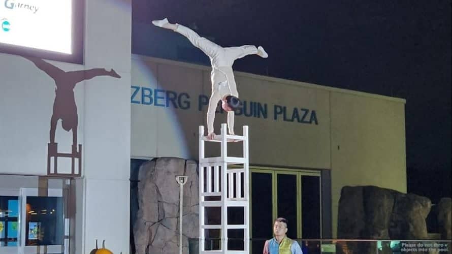 kc zoo glowild chinese acrobat splits 1