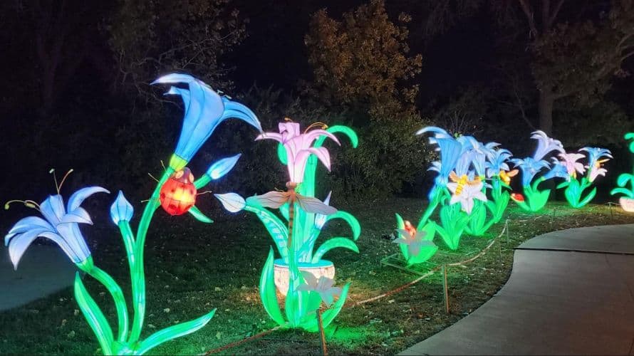 kc zoo glowild flowers 1