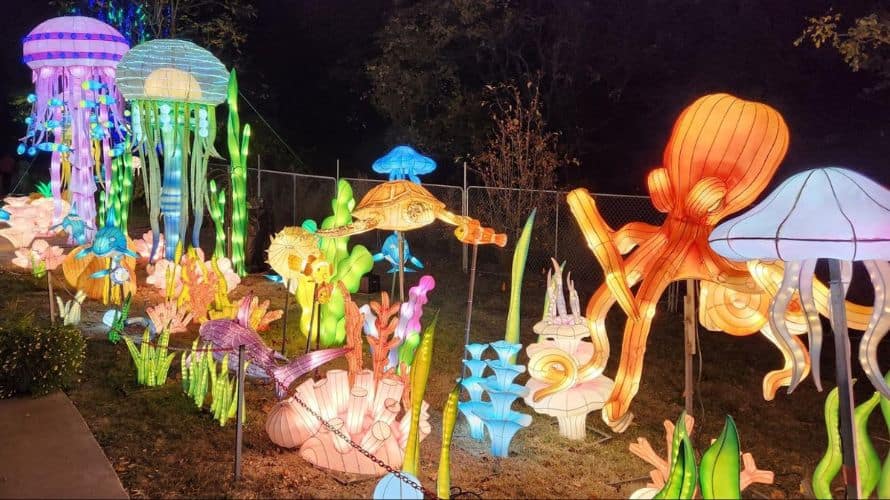 GloWild Lantern Festival at the Kansas City Zoo & Aquarium 2024 The