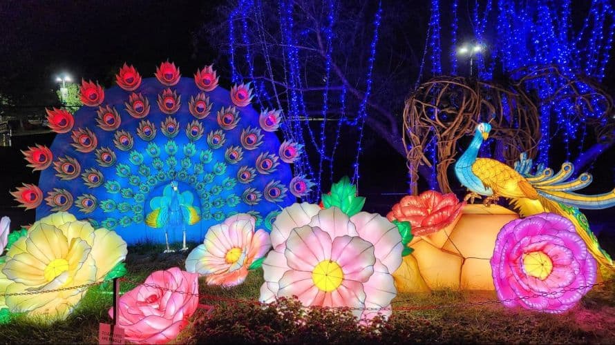 GloWild Lantern Festival at the Kansas City Zoo The Complete Guide