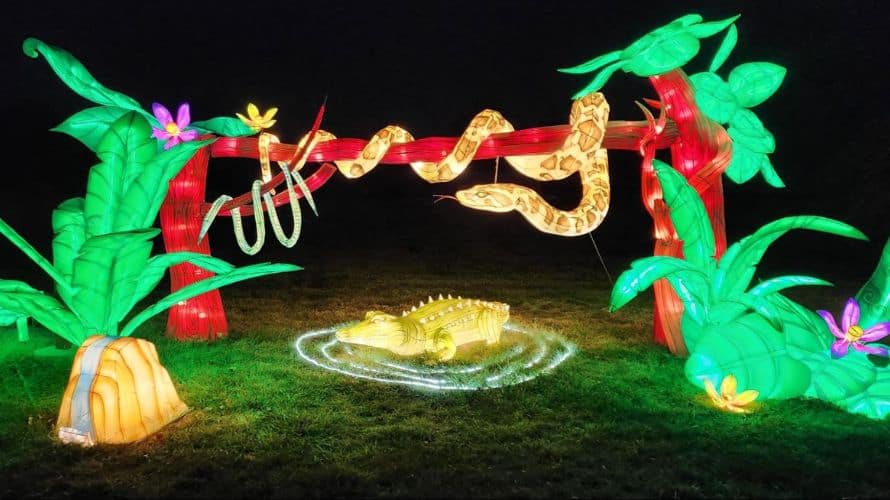 GloWild Lantern Festival at the Kansas City Zoo & Aquarium 2024 The